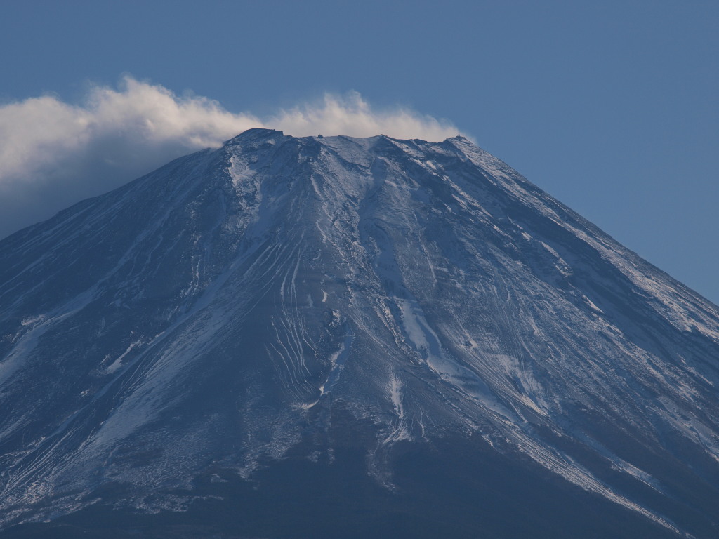 12/4 �����̕x�m�R�̃A�b�v