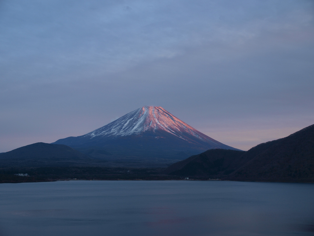 12/4 �{���΂���̗[�Ă��ƕx�m�R