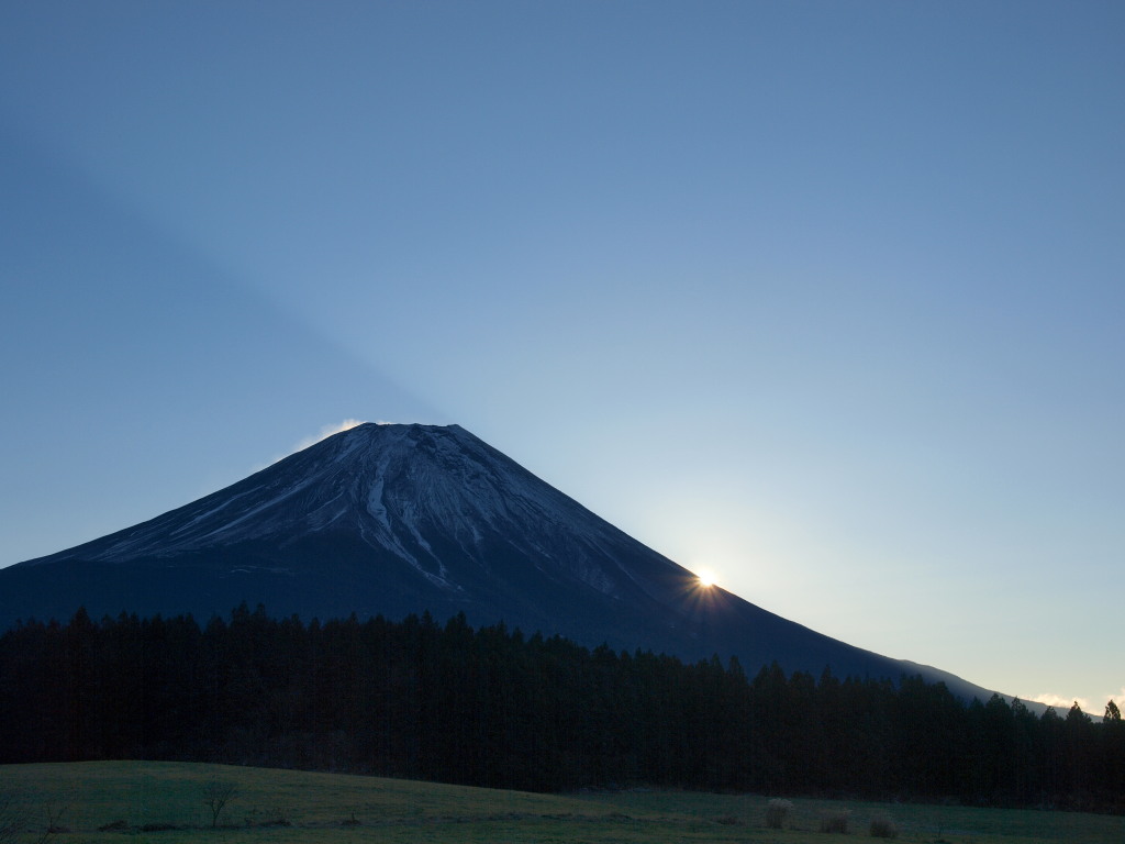 12/5 ������������̓��̏o