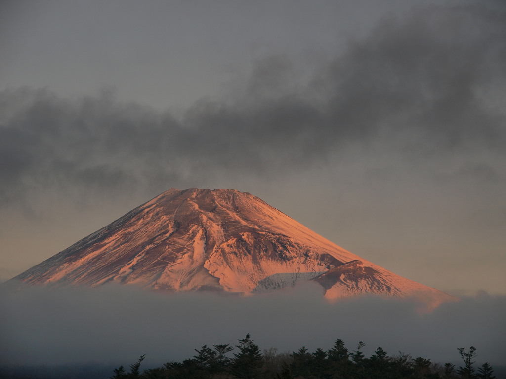 12/20 ���Ă��ƕx�m�R