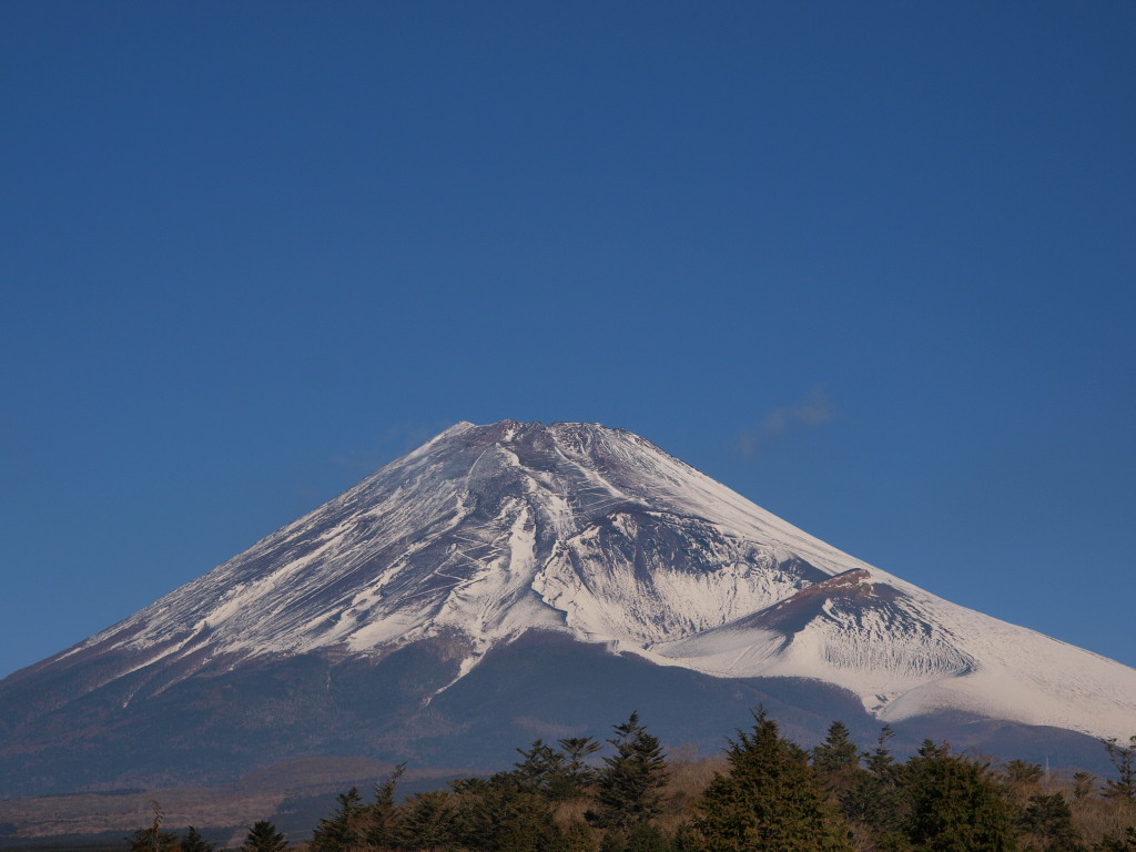 12/20 �\���؂���̂��ꂢ�ȕx�m�R