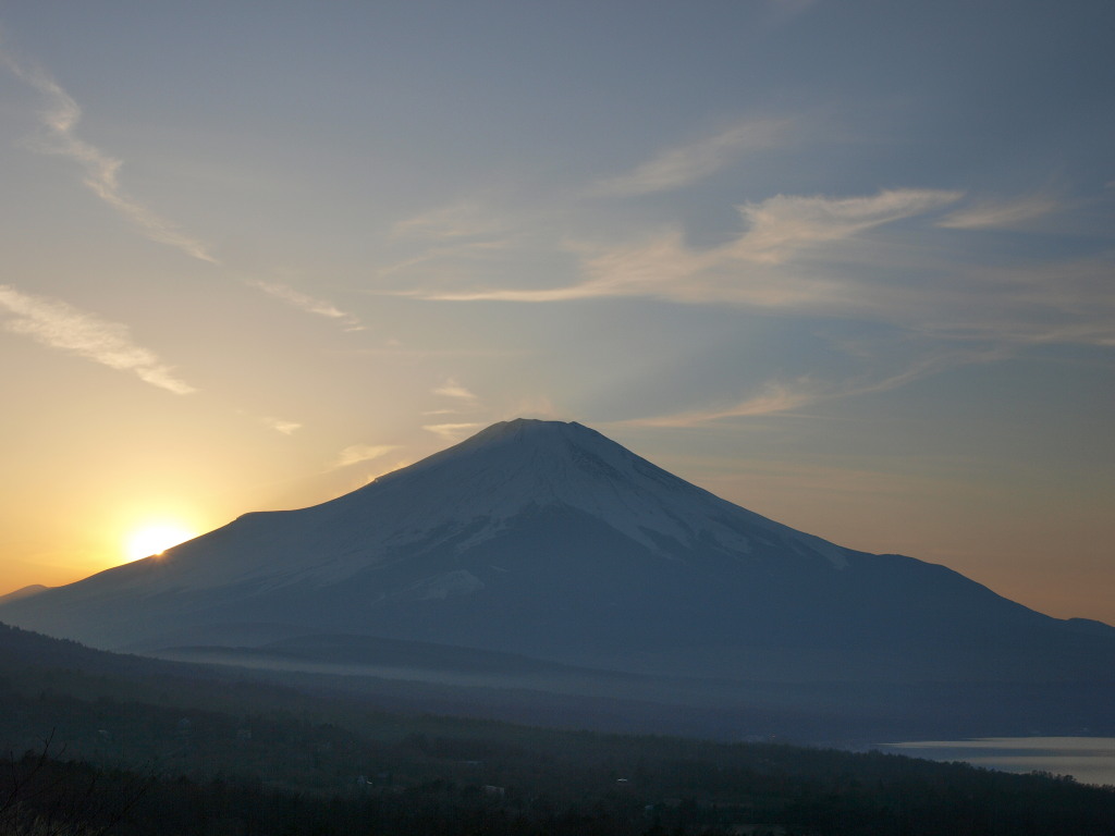 1/8 �R���΂���̓��̓���ƕx�m�R