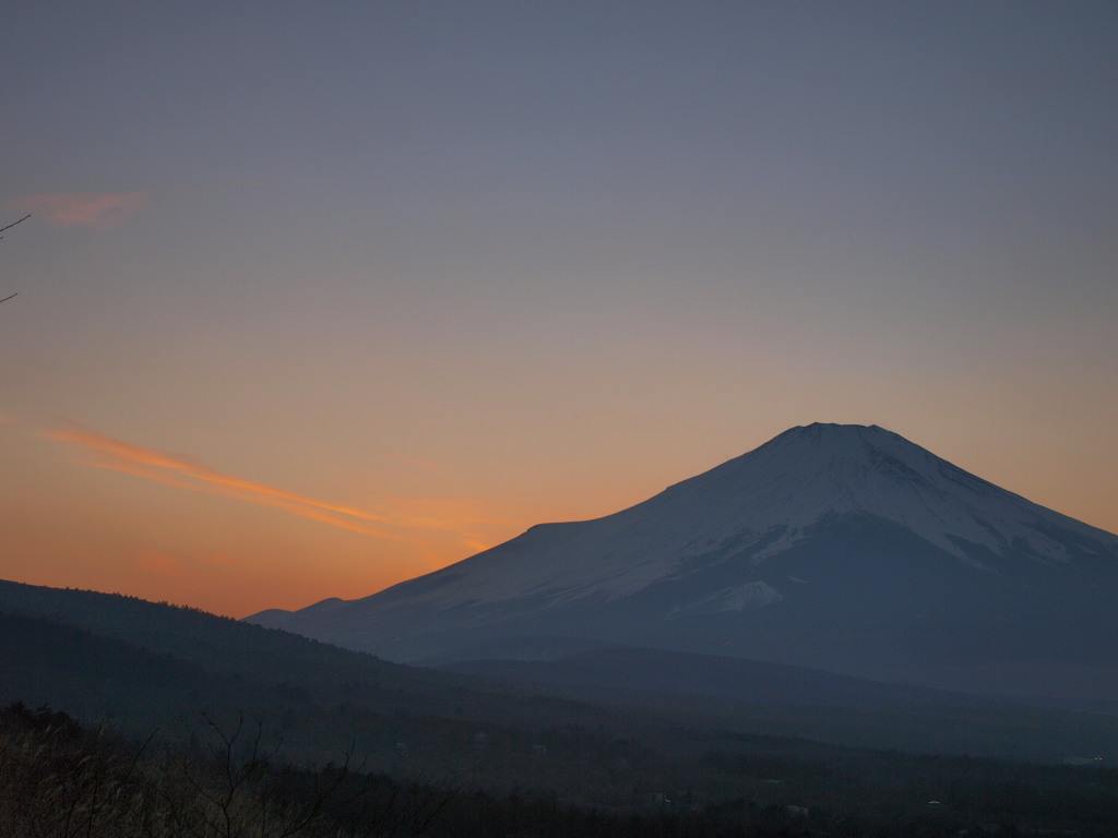 1/8 �[�Ă��̕x�m�R