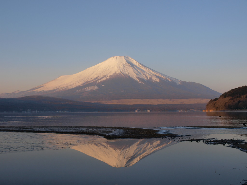 1/10 �������肫�ꂢ�ȕx�m�R