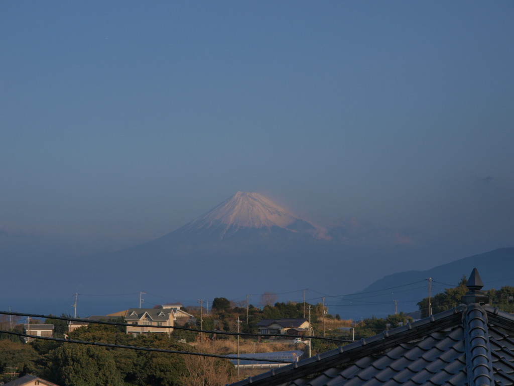 1/24 ���ؑ򉷐򂩂�̕x�m�R