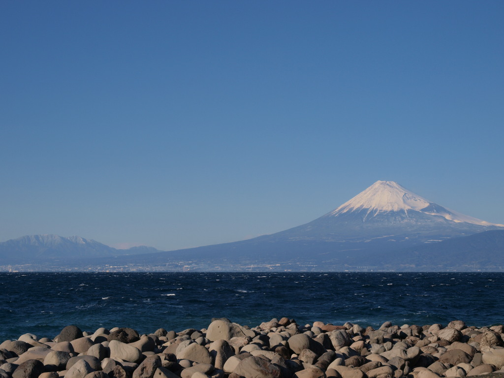 1/24 ��l�肩��̕x�m�R