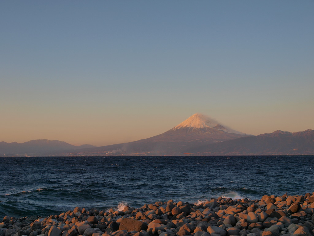 1/24 �[�Ă��ƕx�m�R