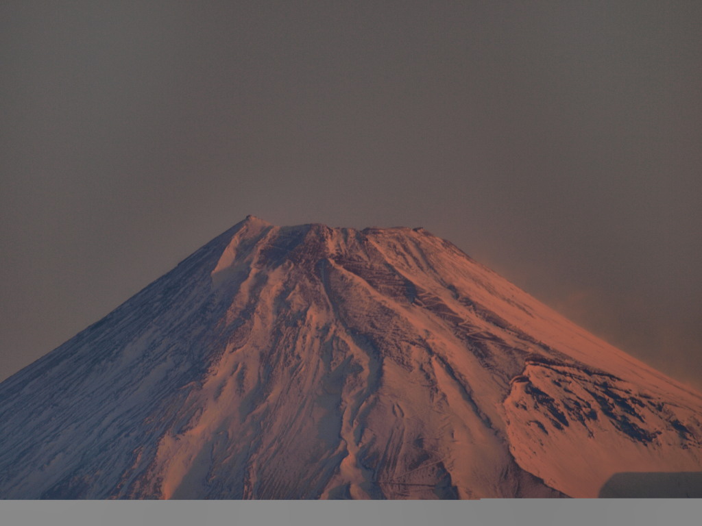 1/25 ���Ă��̕x�m�R�̃A�b�v