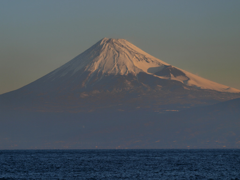 1/25 ����������n�߂��x�m�R