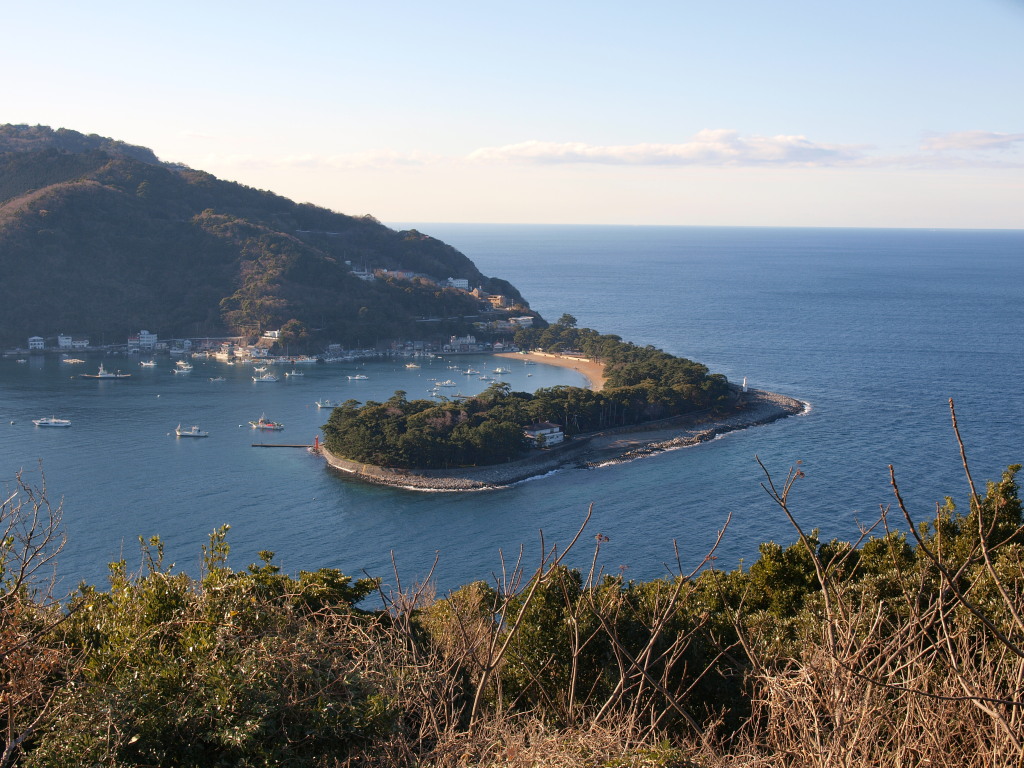 1/25 ��l��̑S�i