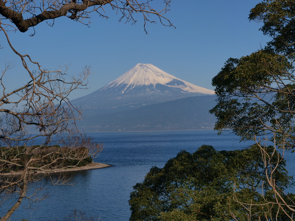 1/25 �吣�肩��̕x�m�R