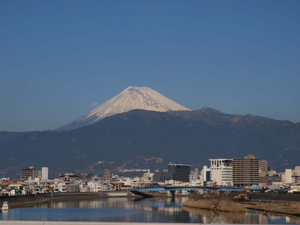 1/25 ���Í`����̕x�m�R