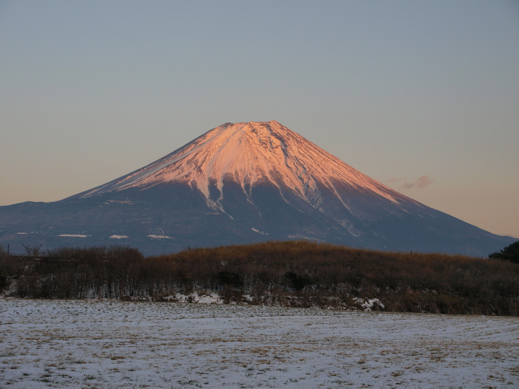 1/25 ������������̗[�Ă�