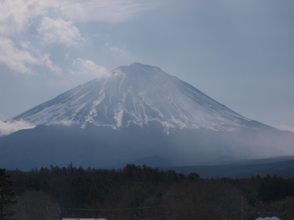 1/26 �򂩂�̕x�m�R