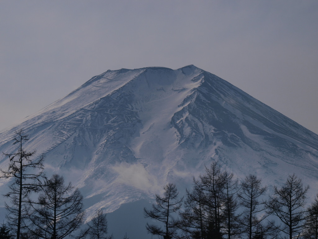 1/26 �x�m�g�c����̕x�m�R