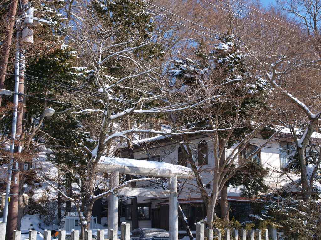 2/7 �R���΂̐�͗l