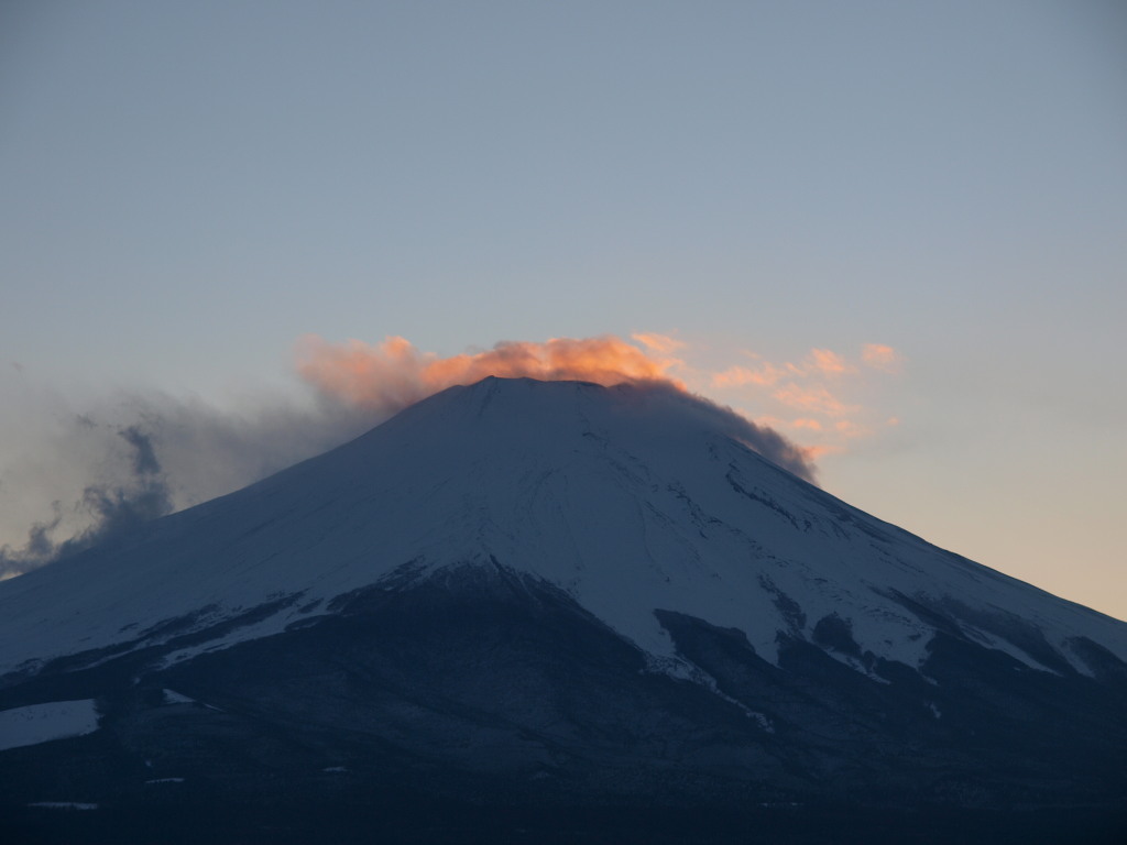 2/7 �[�Ă��ƕx�m�R