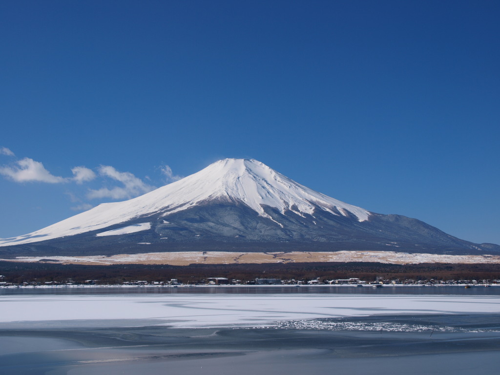 2/8 ���ꂢ�ȕx�m�R