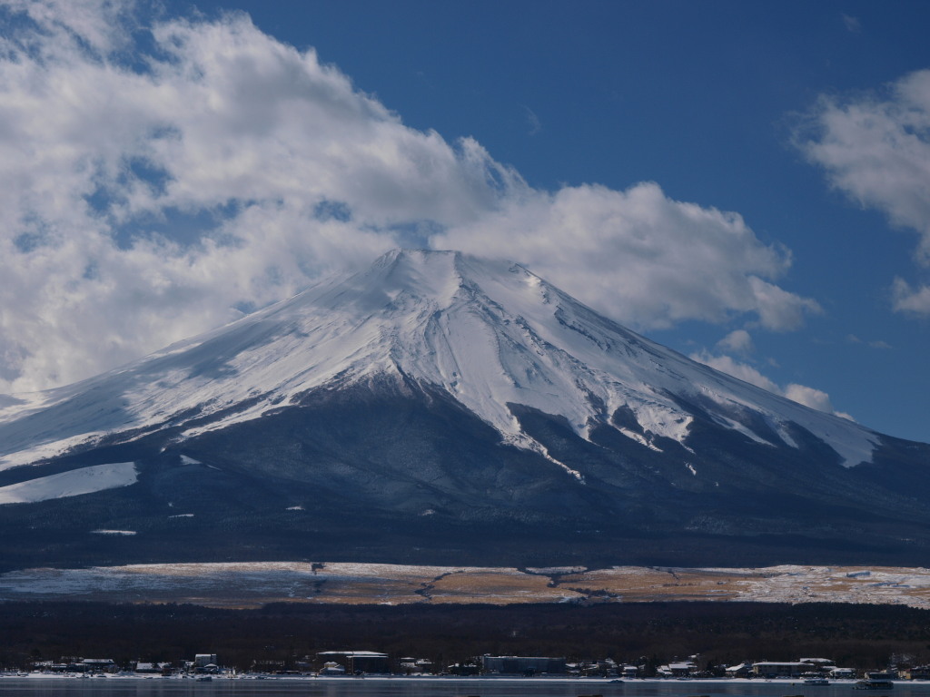 2/8 �_�ƕx�m�R