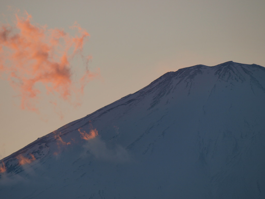 2/8 �[�Ă��ƕx�m�R