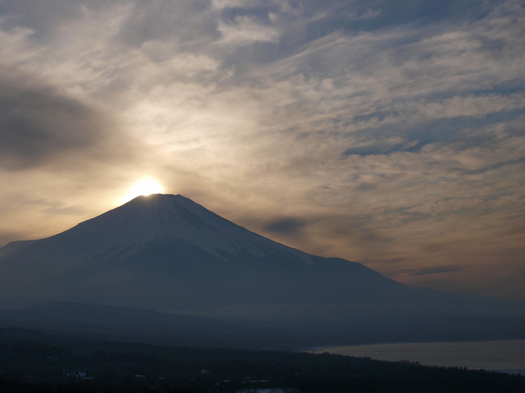 2/22 �_�C�������h�x�m(�^�񒆂���⍶)