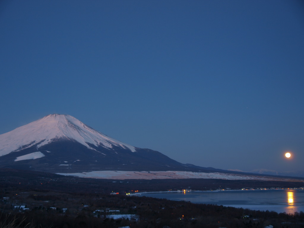 2/21 �����̌��̓���ƕx�m�R