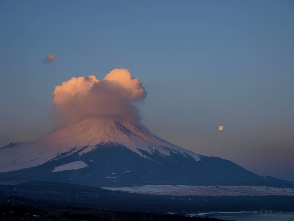 2/23 �x�m�R����??