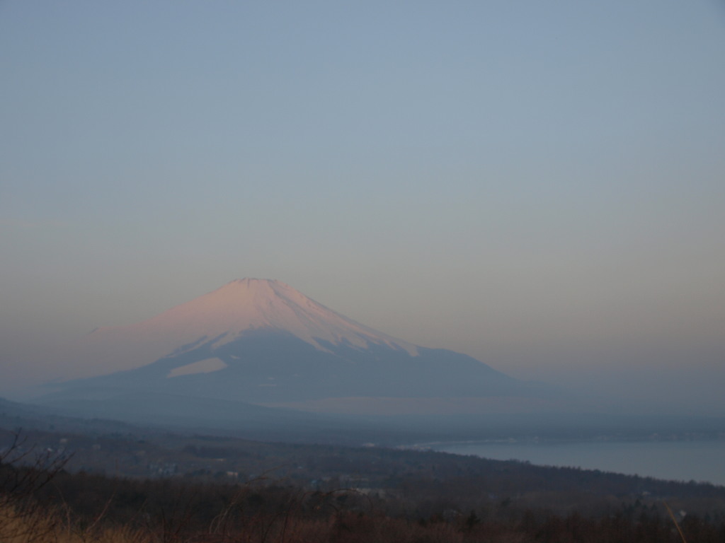 3/12 �t���̒��̒��Ă�