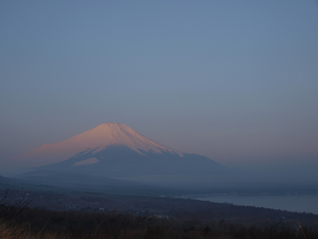 3/12 ���Ă��̕x�m�R