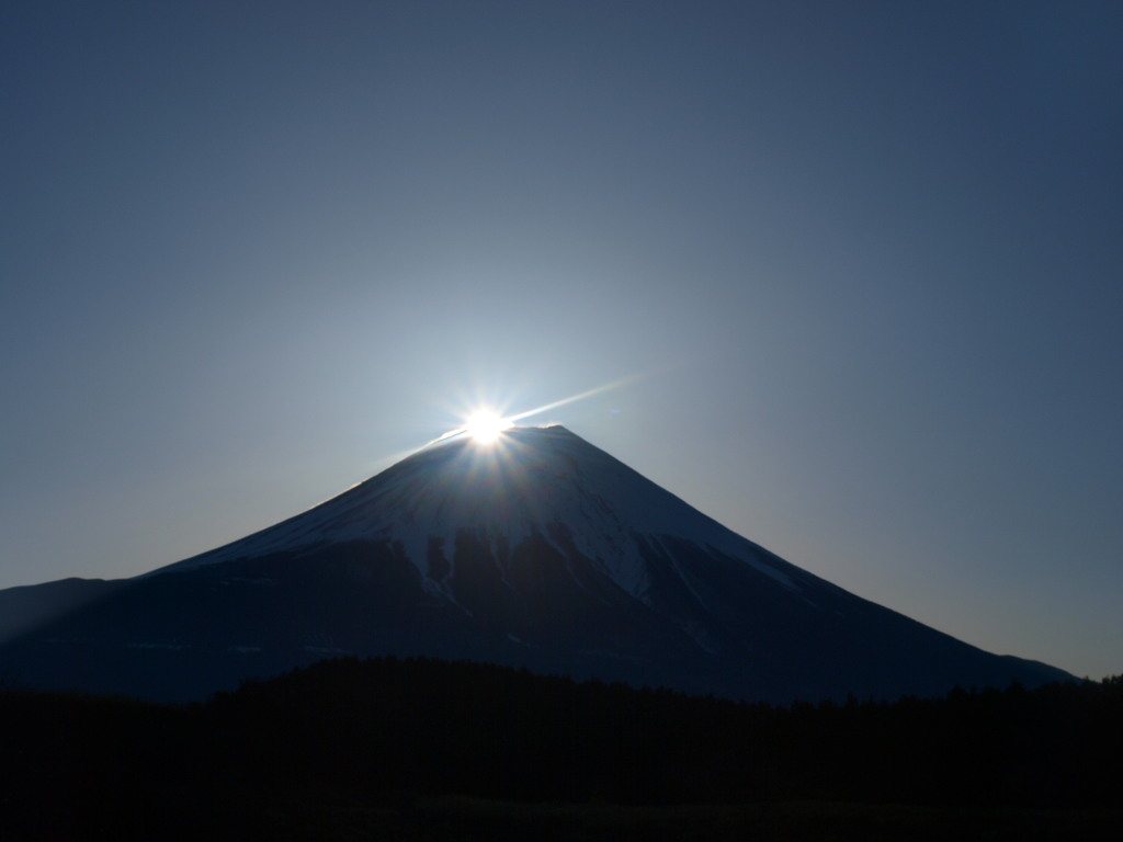 3/15 ������������̃_�C�������h�x�m(2)