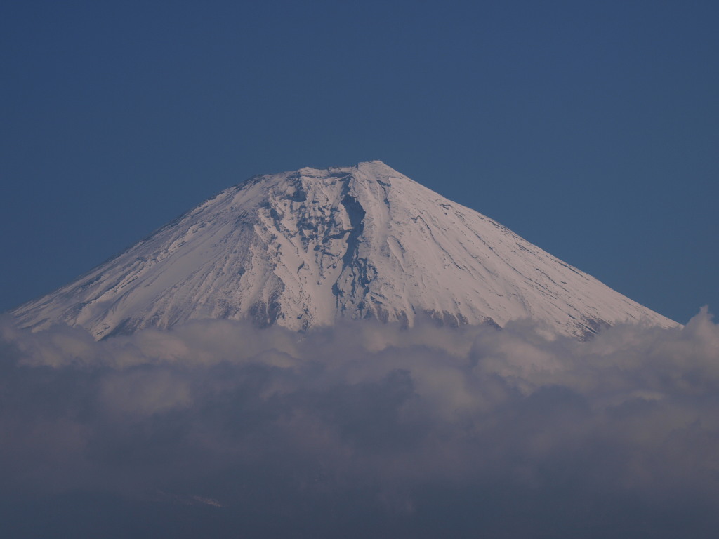 3/15 �c�ь΂���̕x�m�R