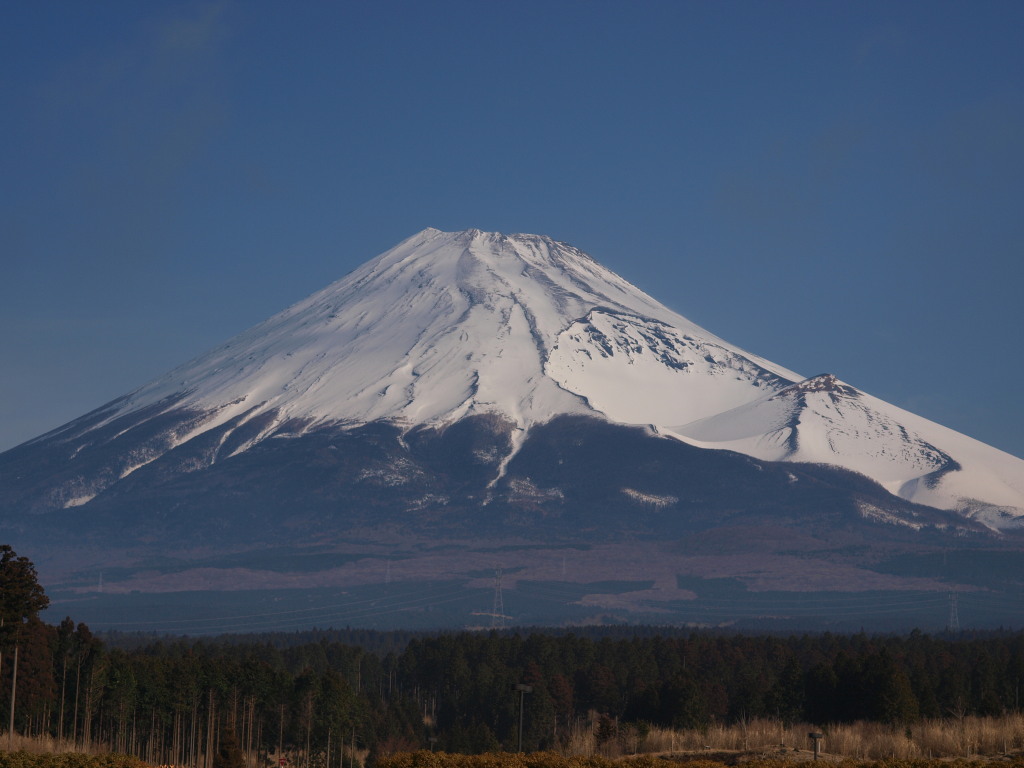 3/16 �q���̍�����̕x�m�R