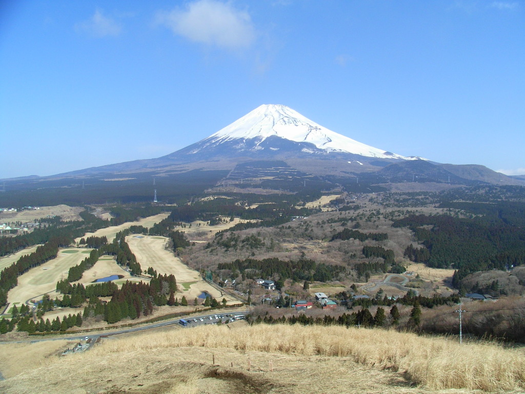 3/16 �\���؂���̕x�m�R