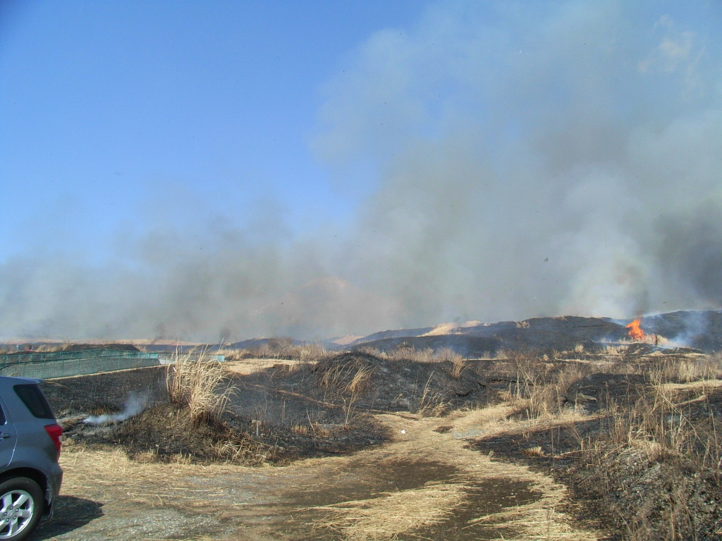 3/16 ����s�̎R�Ă��ƕx�m�R