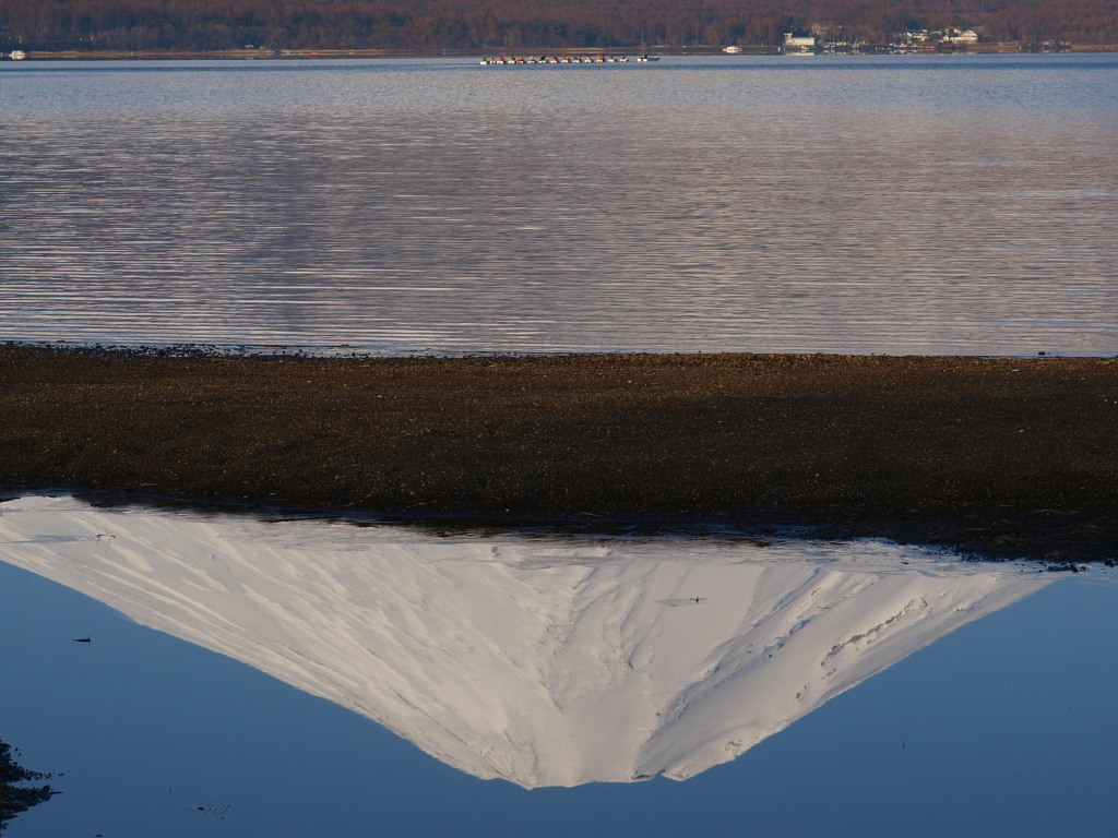 3/22 ���ꂢ�ȌΖʂɎʂ����t���x�m