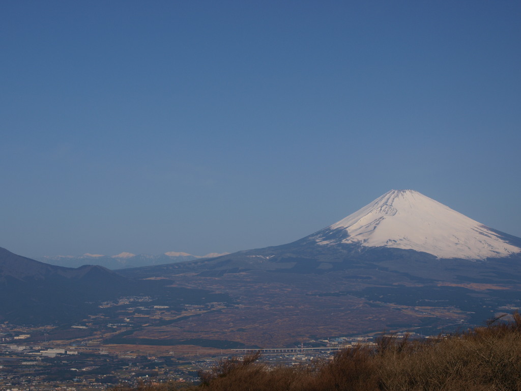 4/2 �O��������̕x�m�R