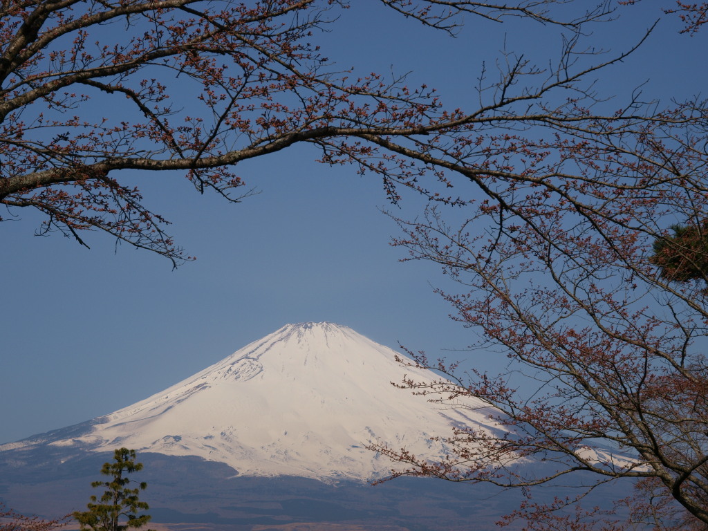 4/2 ���ƕx�m�R