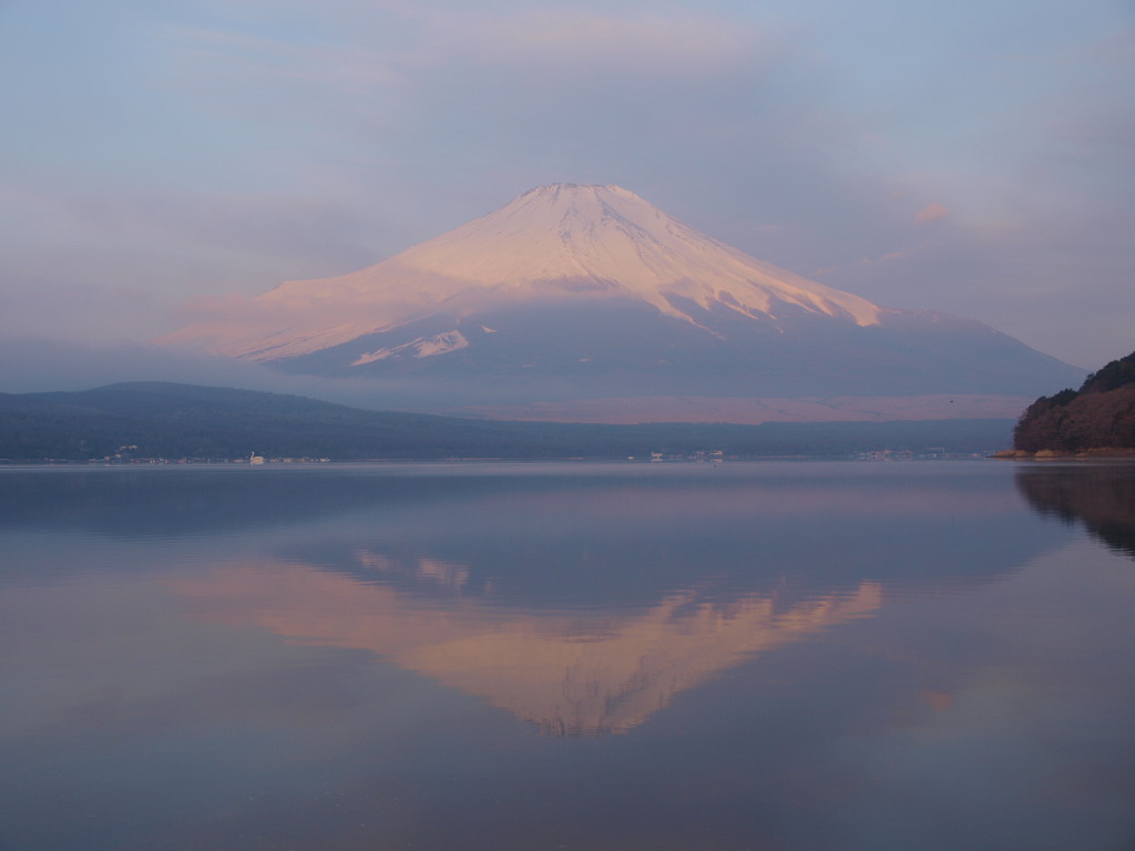 4/4 ���삩��̒��Ă��ƕx�m�R