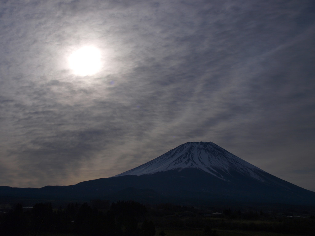 4/4 �x�m�K�䂩��̂��ڂ둾�z�ƕx�m�R