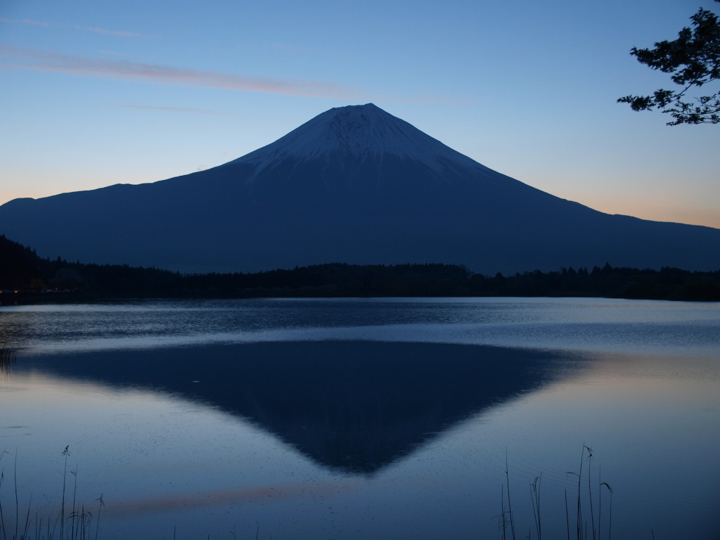 �閾���O�̓c�ь΂���̕x�m�R