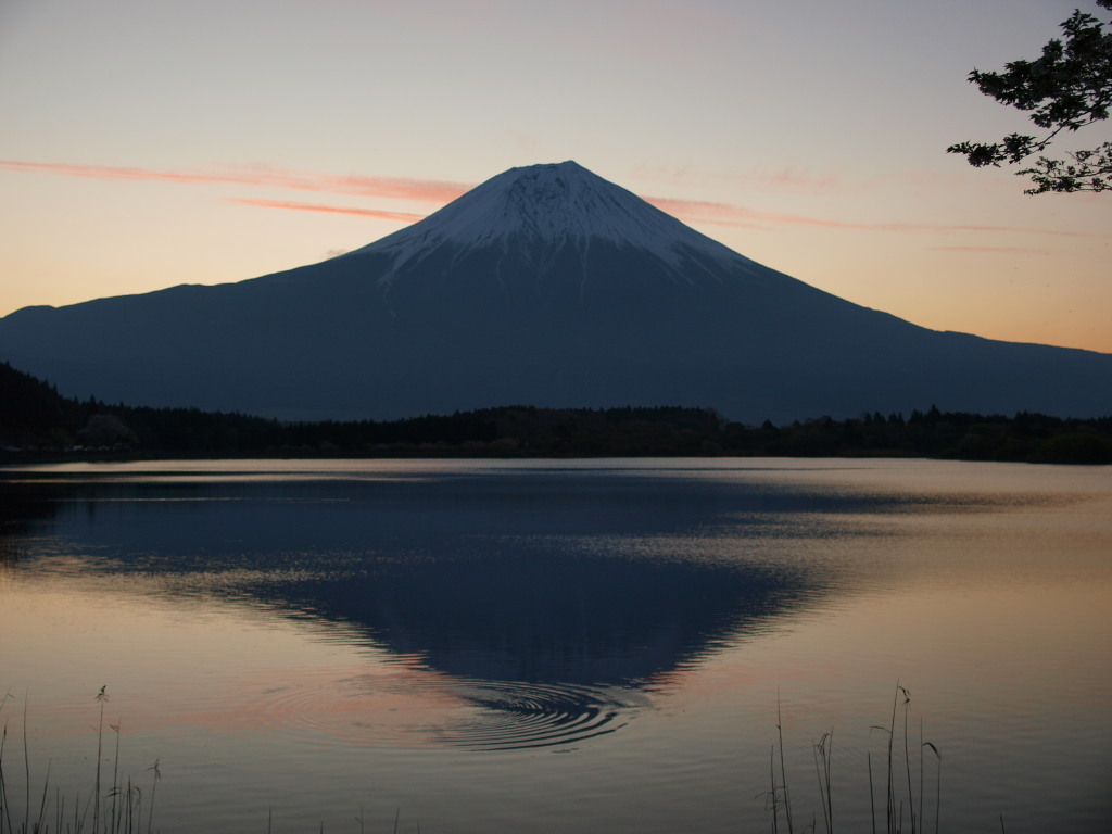 ���̌�̔g��ƕx�m�R