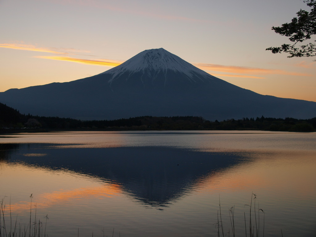 ���̏o�̎��Ԃ̕x�m�R