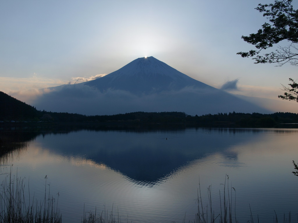 �_�C�������h�x�m�̎n�܂�