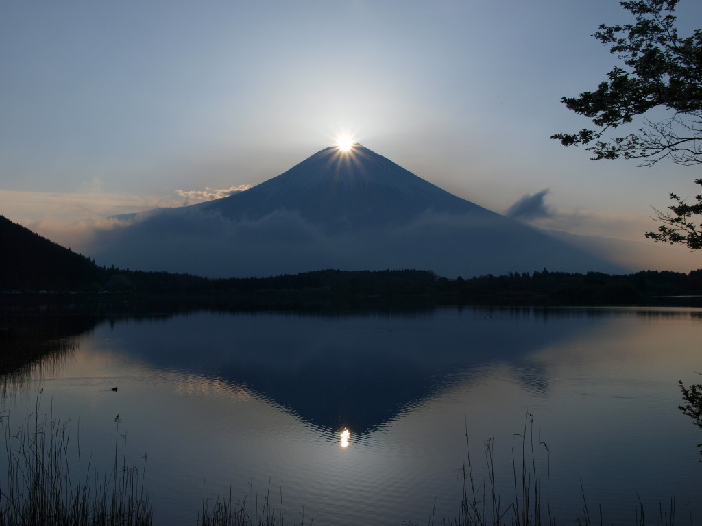 �_�C�������h�x�m(3)