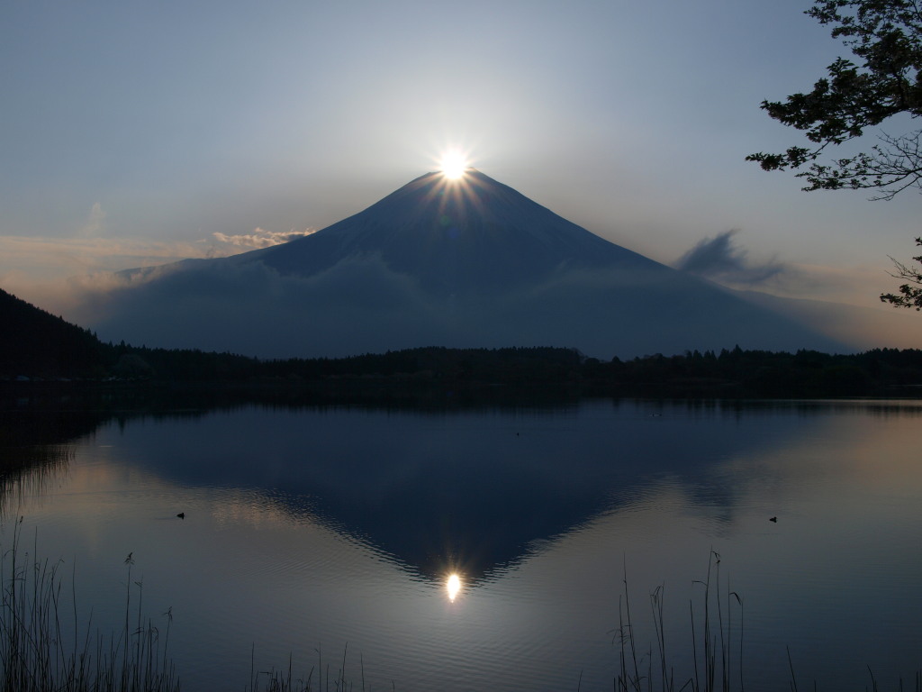 �_�C�������h�x�m(4)