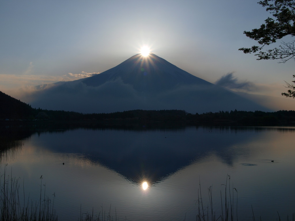 �_�C�������h�x�m(5)