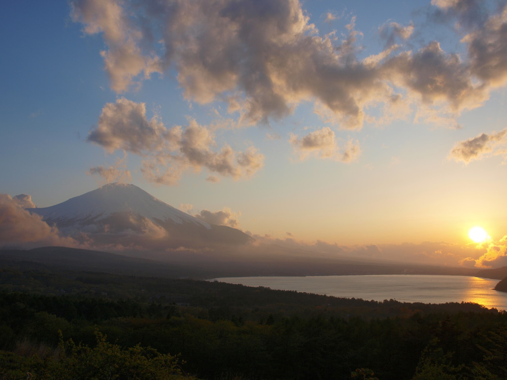 5/14 �R���΂���̓��̓���ƕx�m�R