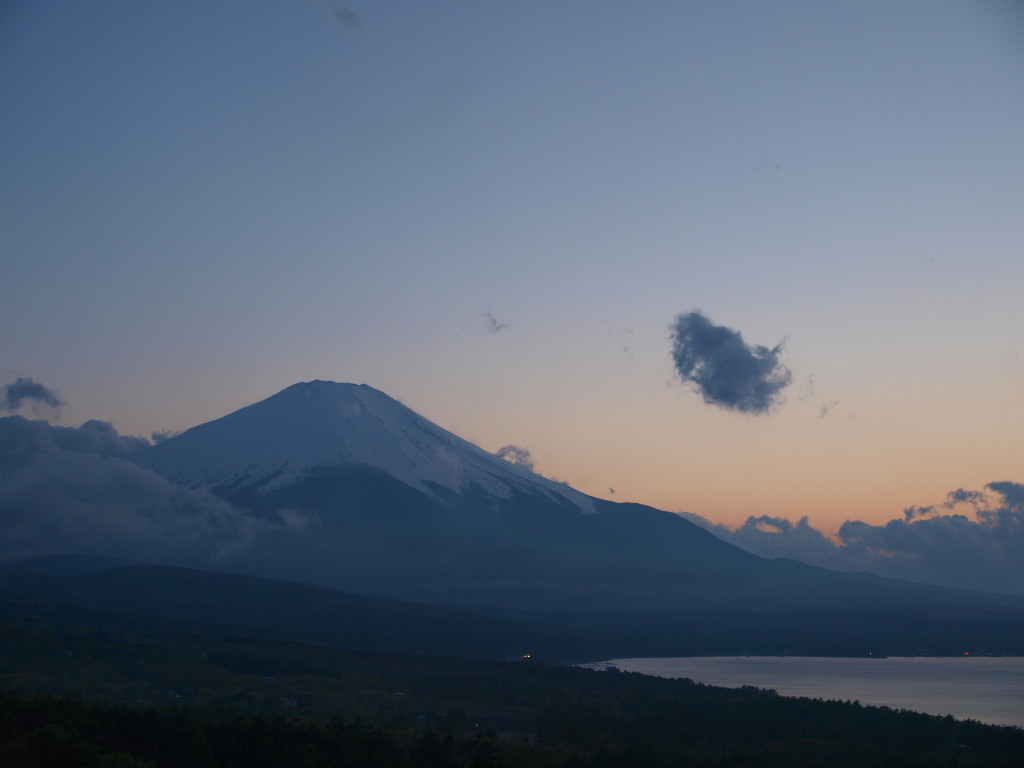 5/14 �[�Ă��ƕx�m�R