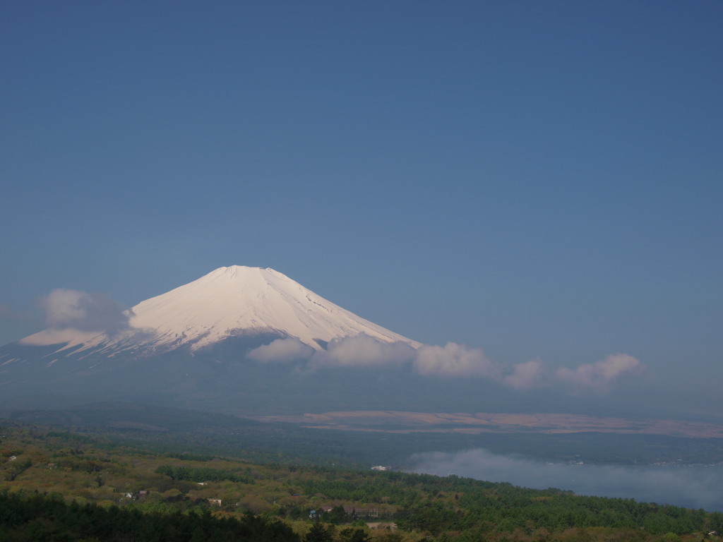 5/15 �V�΂ƕx�m�R