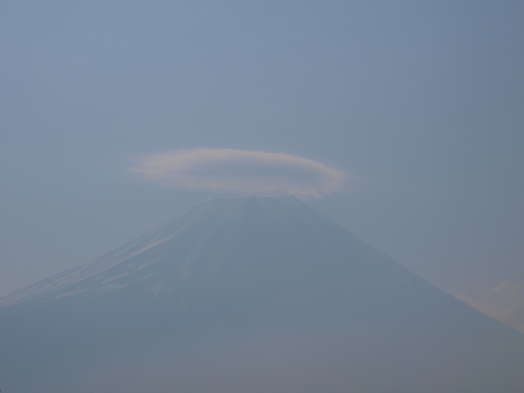 5/17 ������������̂邵�_�ƕx�m�R